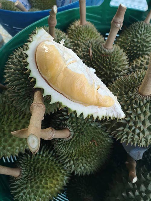 บุฟเฟ่ต์ผลไม้จันทบุรี 2561 บุฟเฟ่ต์ผลไม้จันทบุรี 2561