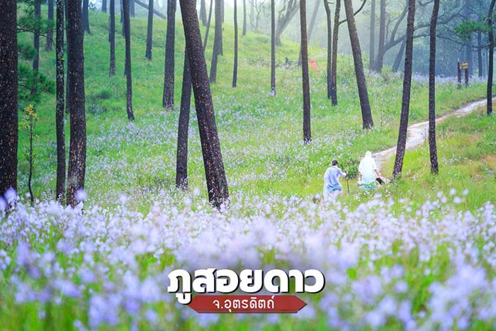 ที่เที่ยววันหยุดยาว ที่เที่ยววันหยุดยาว