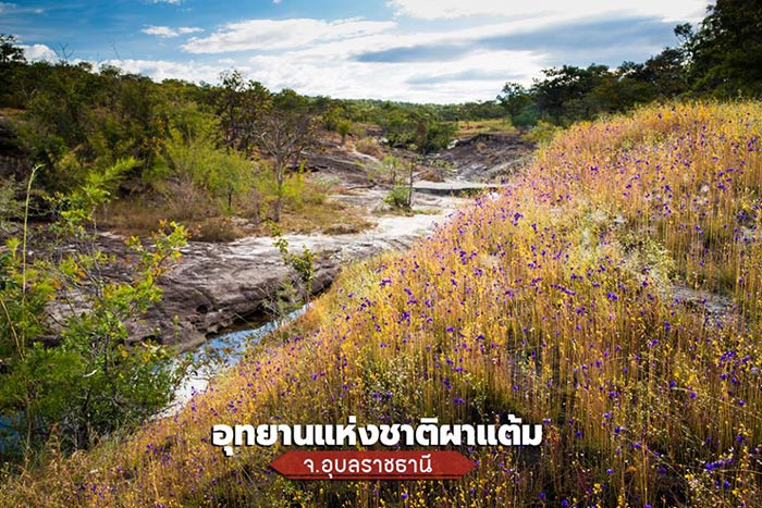 ที่เที่ยววันหยุดยาว ที่เที่ยววันหยุดยาว