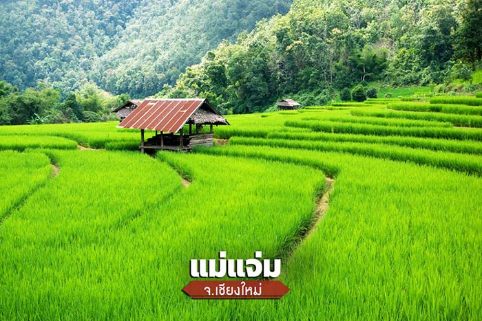 ที่เที่ยววันหยุดยาว ที่เที่ยววันหยุดยาว