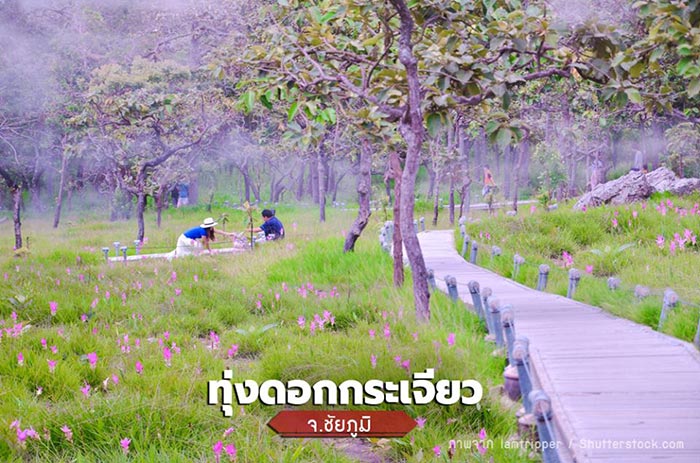 ที่เที่ยววันหยุดยาว ที่เที่ยววันหยุดยาว