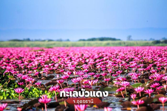 ที่เที่ยววันหยุดยาว ที่เที่ยววันหยุดยาว