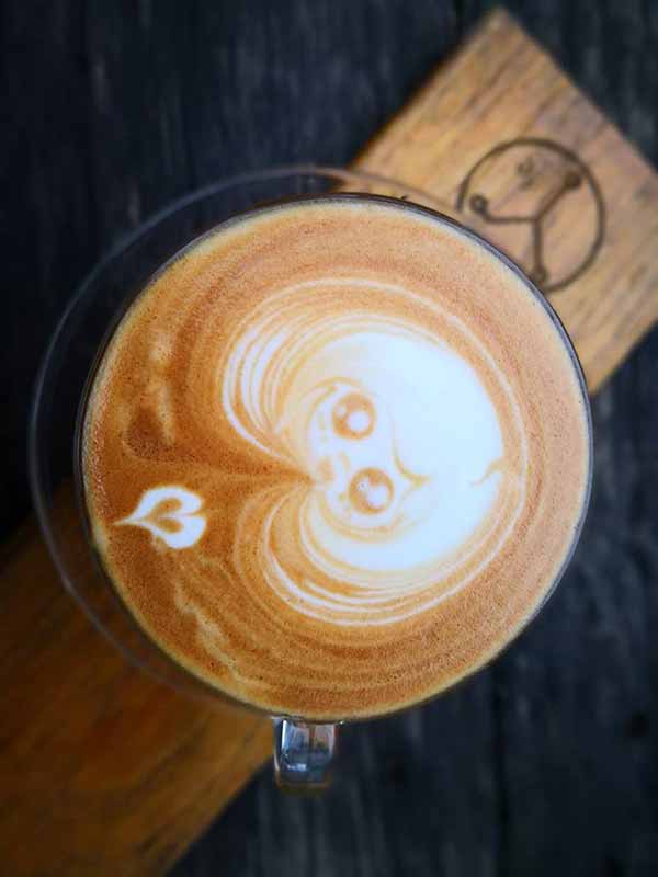 ร้านกาแฟแม่กำปอง เชียงใหม่ ร้านกาแฟแม่กำปอง เชียงใหม่