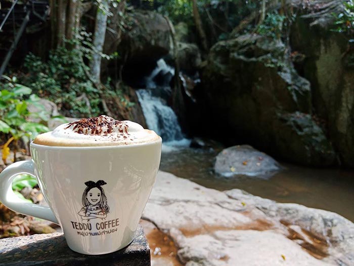 ร้านกาแฟแม่กำปอง เชียงใหม่ ร้านกาแฟแม่กำปอง เชียงใหม่