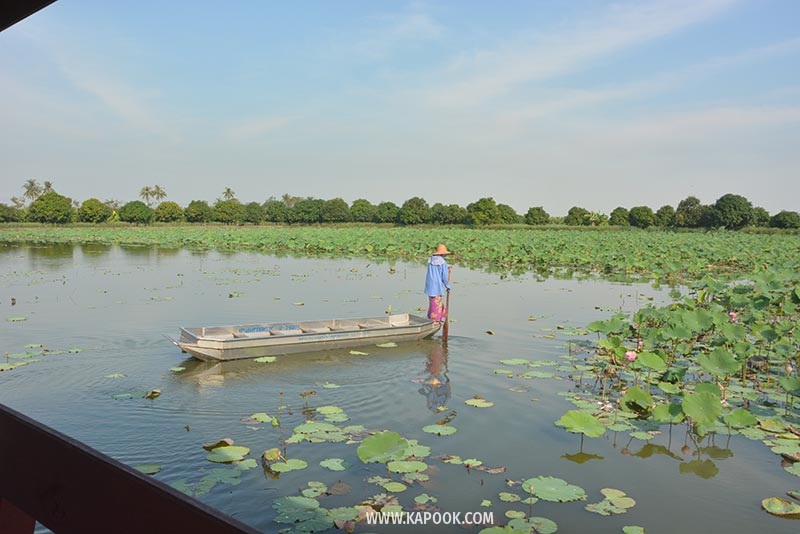 คลองมหาสวัสดิ์ นครปฐม คลองมหาสวัสดิ์ นครปฐม