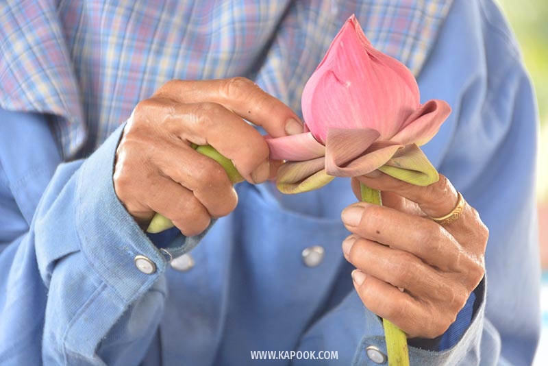 คลองมหาสวัสดิ์ นครปฐม คลองมหาสวัสดิ์ นครปฐม