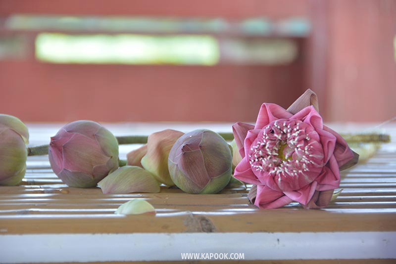 คลองมหาสวัสดิ์ นครปฐม คลองมหาสวัสดิ์ นครปฐม