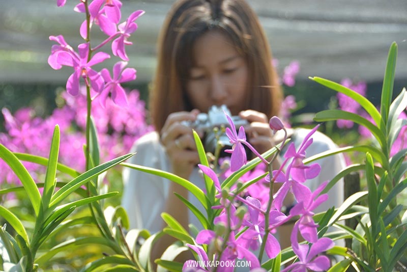 คลองมหาสวัสดิ์ นครปฐม คลองมหาสวัสดิ์ นครปฐม