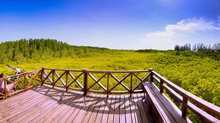 ที่เที่ยวหน้าฝน ใกล้กรุงเทพ ที่เที่ยวหน้าฝน ใกล้กรุงเทพ