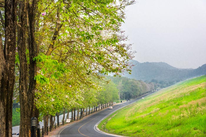 ที่เที่ยวหน้าฝน ใกล้กรุงเทพ ที่เที่ยวหน้าฝน ใกล้กรุงเทพ