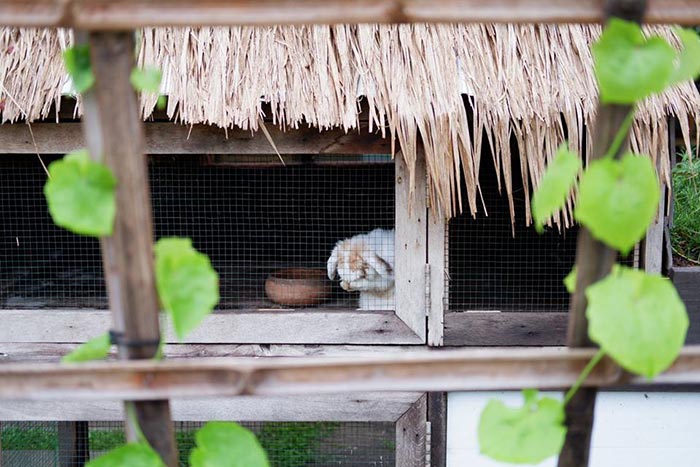 บ้านของพ่อ อยุธยา บ้านของพ่อ อยุธยา