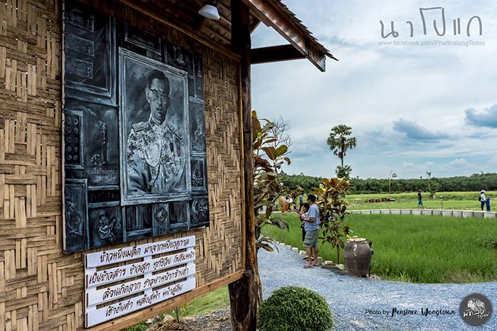 นาโปแก พัทลุง นาโปแก พัทลุง