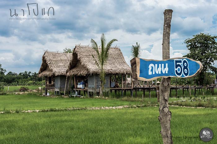 นาโปแก พัทลุง นาโปแก พัทลุง