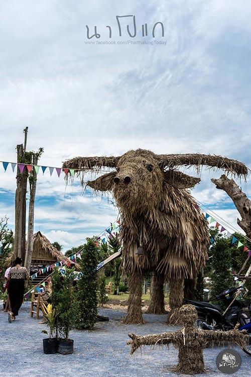 นาโปแก พัทลุง นาโปแก พัทลุง