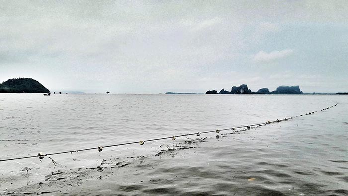 เกาะลิบง ตรัง เกาะลิบง ตรัง