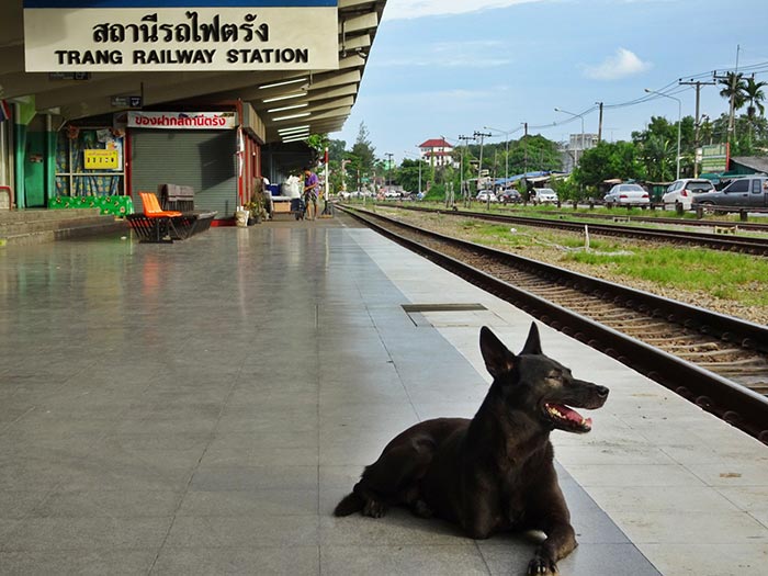 เกาะลิบง ตรัง เกาะลิบง ตรัง