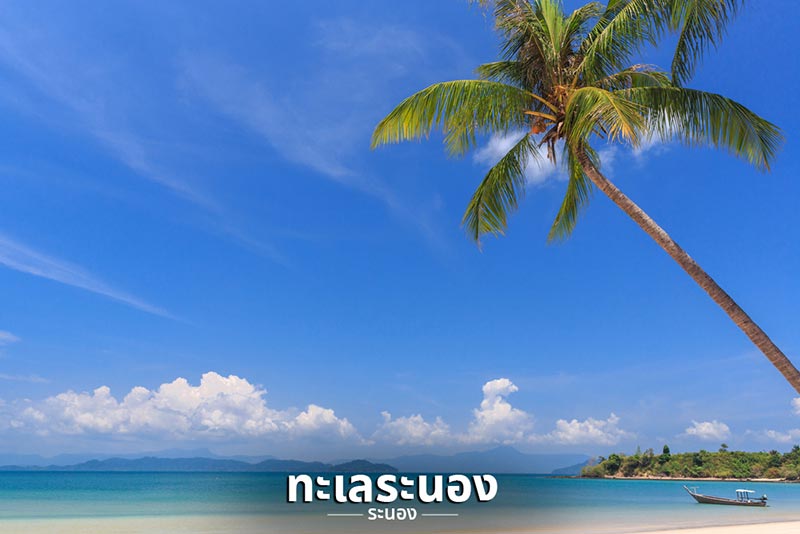 ที่เที่ยวหน้าหนาว 2561 ที่เที่ยวหน้าหนาว 2561