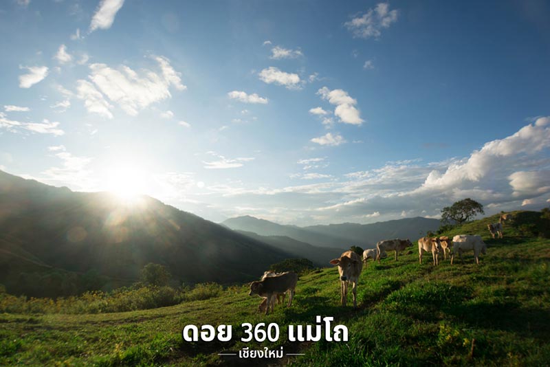 ที่เที่ยวหน้าหนาว 2561 ที่เที่ยวหน้าหนาว 2561