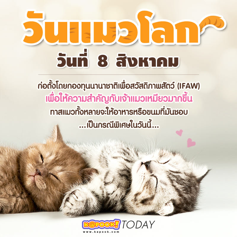 วันแมวโลก วันแมวโลก