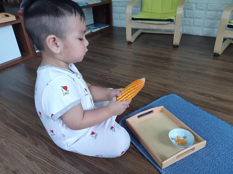 ปูม้าไข่ผัดขึ้นฉ่าย ปูม้าไข่ผัดขึ้นฉ่าย