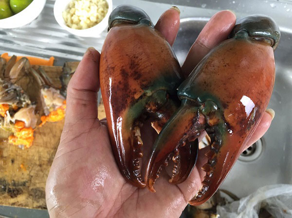 ปูไข่ผัดมะนาว ปูไข่ผัดมะนาว