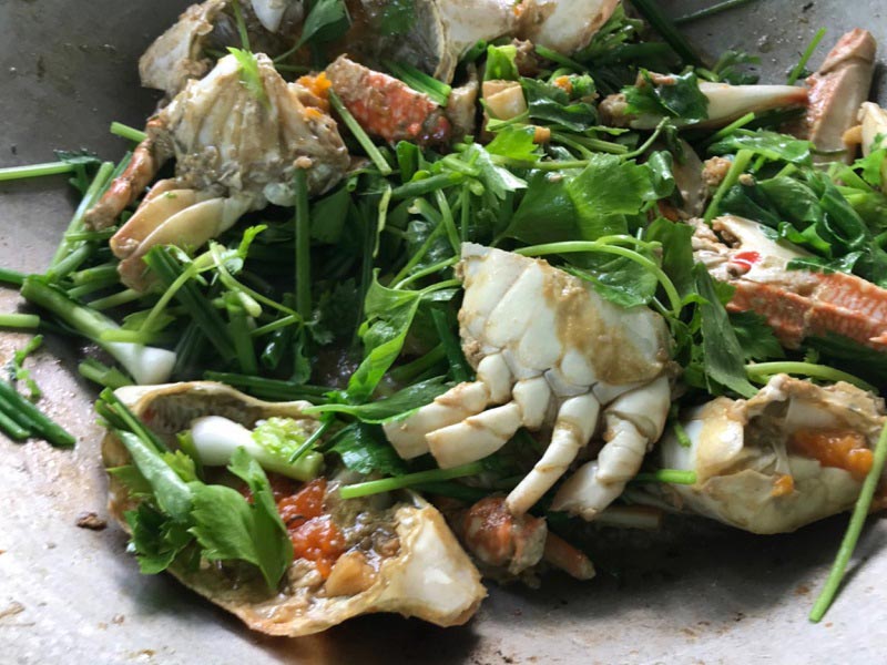 ปูม้าไข่ผัดขึ้นฉ่าย ปูม้าไข่ผัดขึ้นฉ่าย