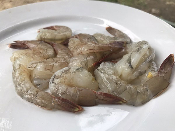 กุ้งแช่น้ำปลา กุ้งแช่น้ำปลา