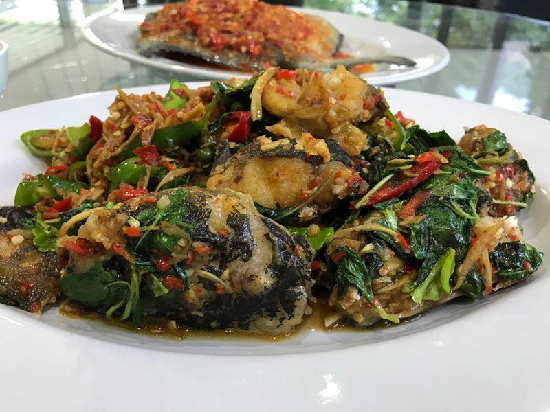 10 วิธีทำปลาผัดเผ็ด 10 วิธีทำปลาผัดเผ็ด