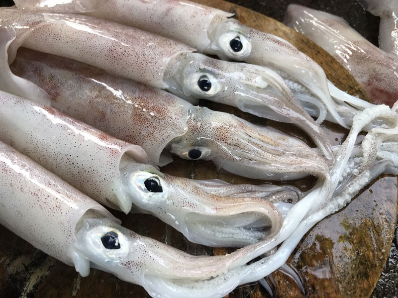 ปลาหมึกผัดไข่เค็ม ปลาหมึกผัดไข่เค็ม