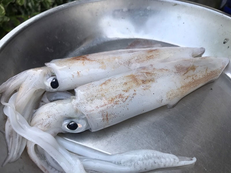 ปลาหมึกผัดไข่เค็ม ปลาหมึกผัดไข่เค็ม
