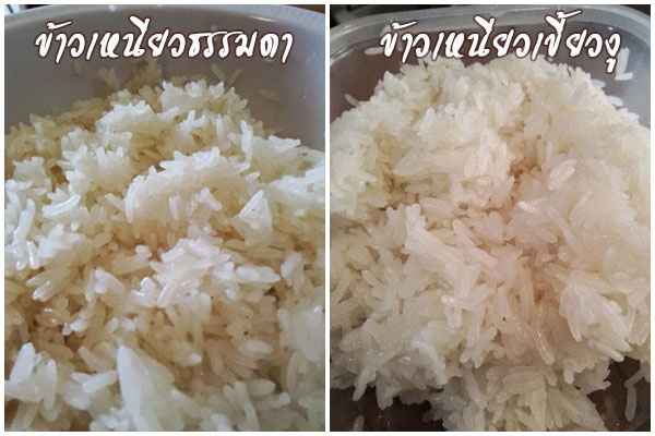 10 เมนูร้านข้าวเหนียวหมู 10 เมนูร้านข้าวเหนียวหมู