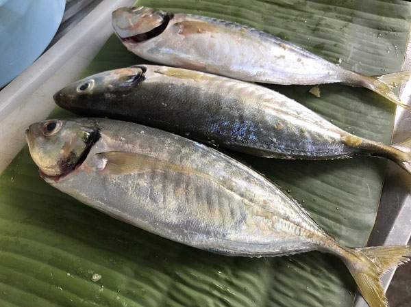 ปลาย่างใบตอง ปลาย่างใบตอง