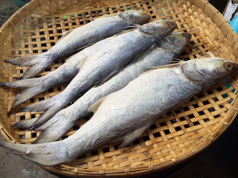 วิธีทำปลาเค็ม วิธีทำปลาเค็ม