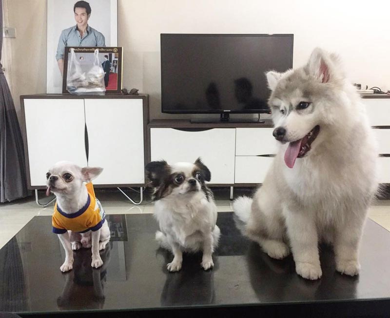 บ้านดาราพ่อลูกอ่อน บ้านดาราพ่อลูกอ่อน