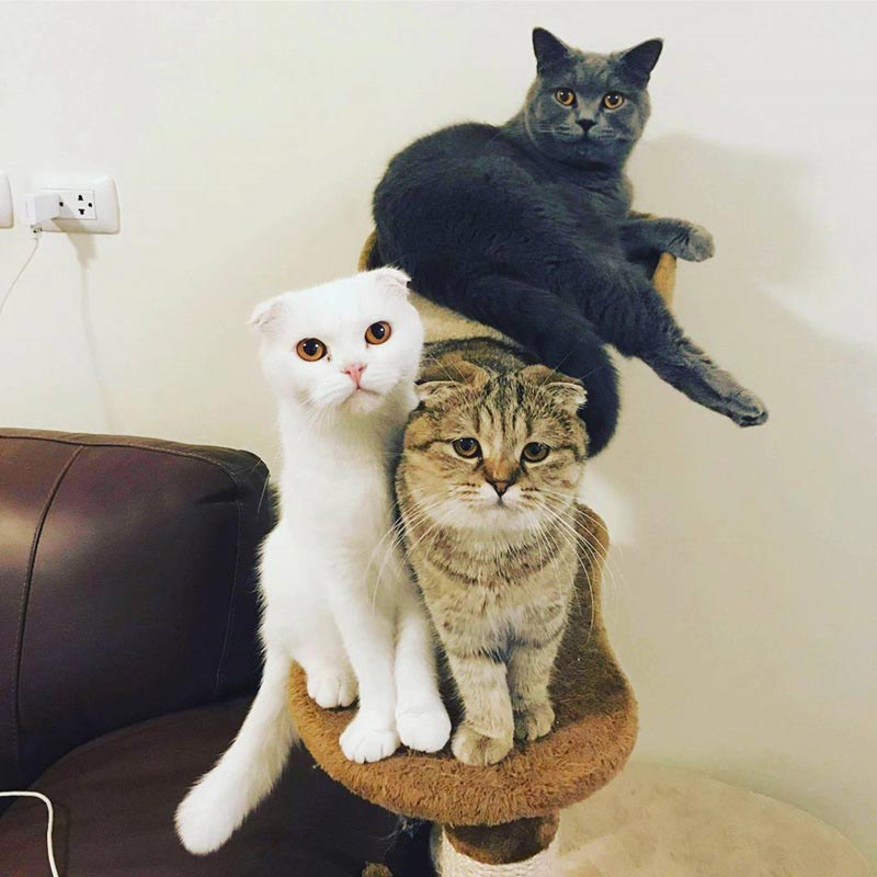 บ้าน กอล์ฟ ฟักกลิ้ง ฮีโร่ บ้าน กอล์ฟ ฟักกลิ้ง ฮีโร่