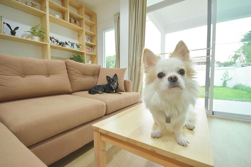รีโนเวทบ้านครึ่งปูนครึ่งไม้ รีโนเวทบ้านครึ่งปูนครึ่งไม้
