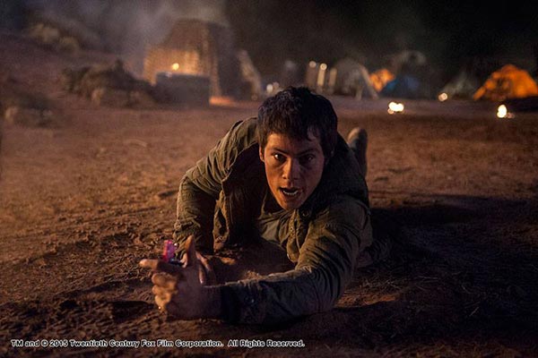 Maze Runner Maze Runner