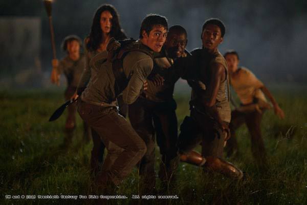 Maze Runner Maze Runner