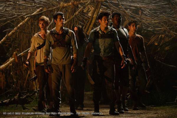 Maze Runner Maze Runner