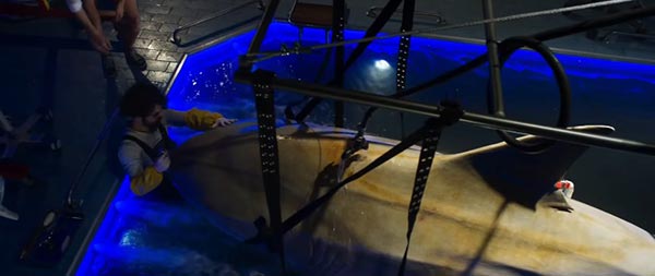Deep Blue Sea 2 Deep Blue Sea 2