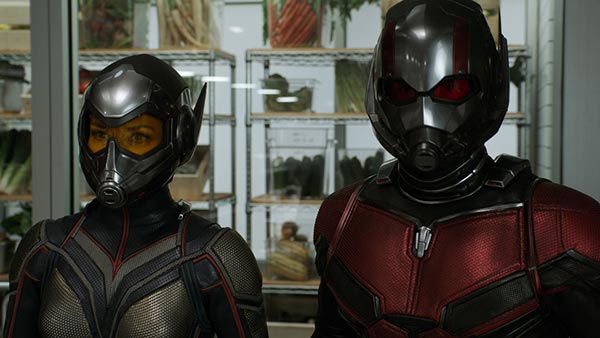 Ant Man and the Wasp Ant Man and the Wasp