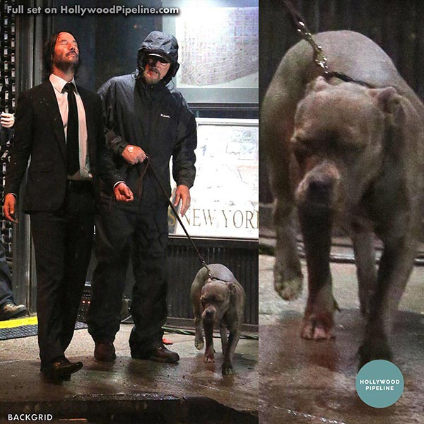 John Wick: Chapter 3 John Wick: Chapter 3