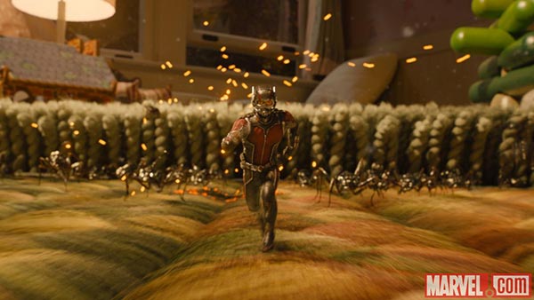 Ant-Man & the Wasp Ant-Man & the Wasp