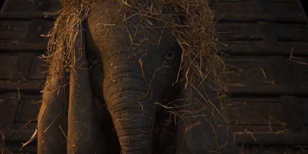 Dumbo Dumbo