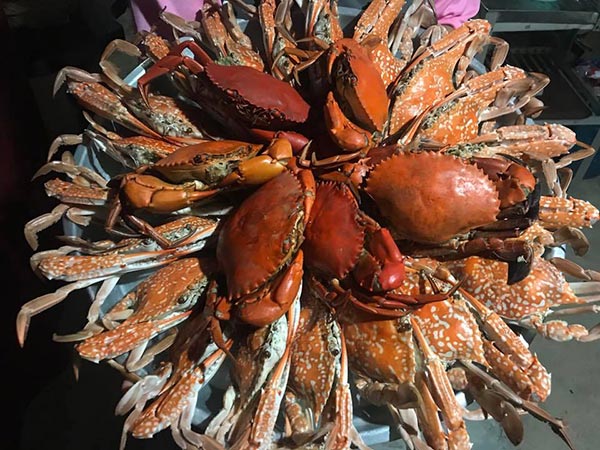 กินปู จันทบุรี กินปู จันทบุรี