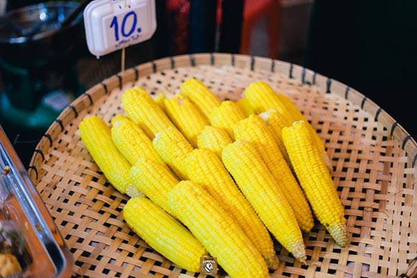 ตลาดนัดไดโนเสาร์ ตลาดนัดไดโนเสาร์