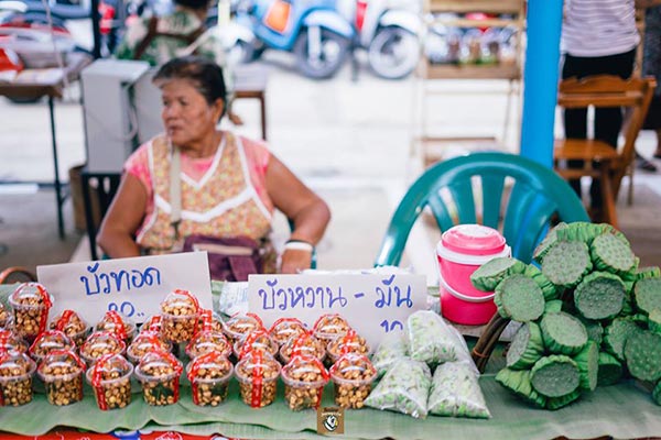 ตลาดนัดไดโนเสาร์ ตลาดนัดไดโนเสาร์