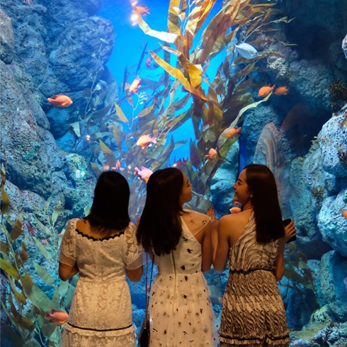 Resorts World Sentosa Resorts World Sentosa