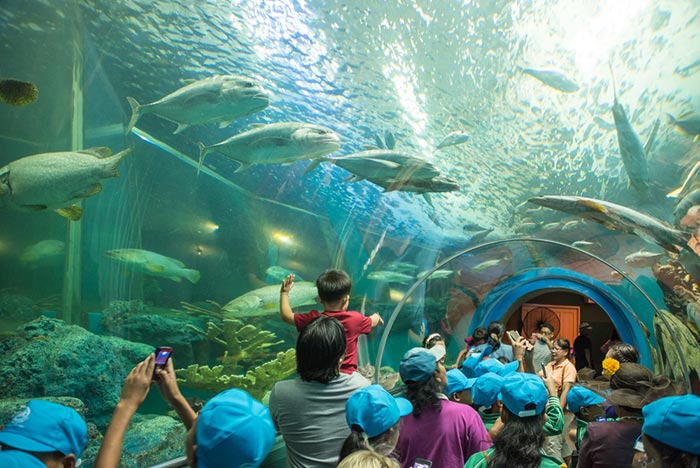 สถานที่ท่องเที่ยวระยอง สถานที่ท่องเที่ยวระยอง