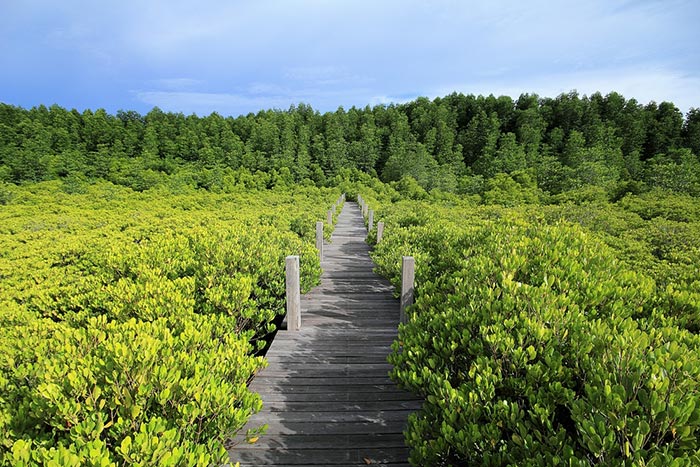 สถานที่ท่องเที่ยวระยอง สถานที่ท่องเที่ยวระยอง